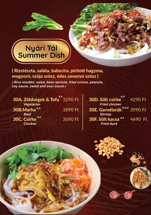 kossuthlajos_menu_Page_08